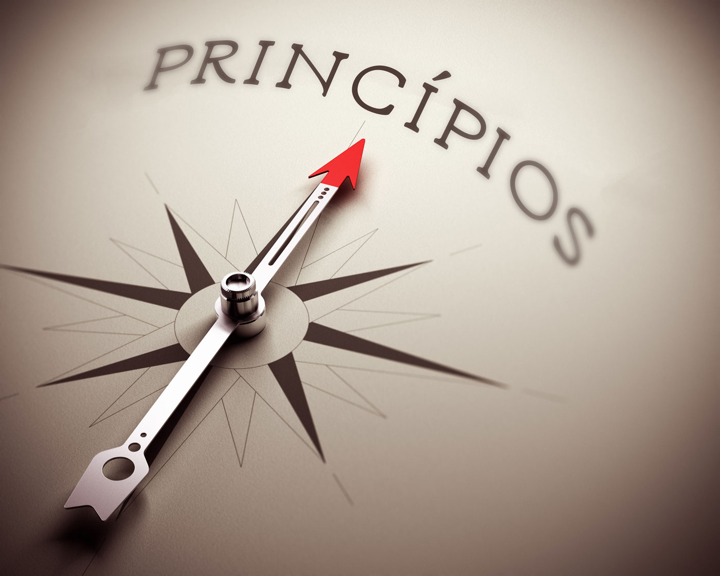 Princípios